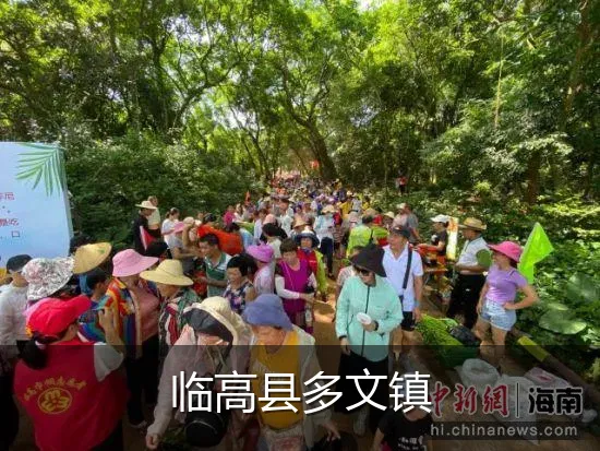 临高县多文镇